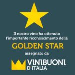 thumbnail of vinibuoni2017_goldenstar_riserva2008