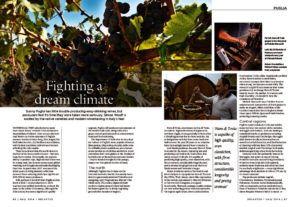 thumbnail of Decanter_FEB_2018_FATALONE